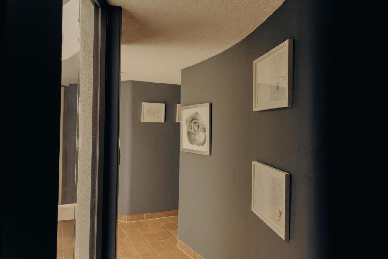 Casa Lulu Coyoacan Alvaro Obregon Zewnętrze zdjęcie