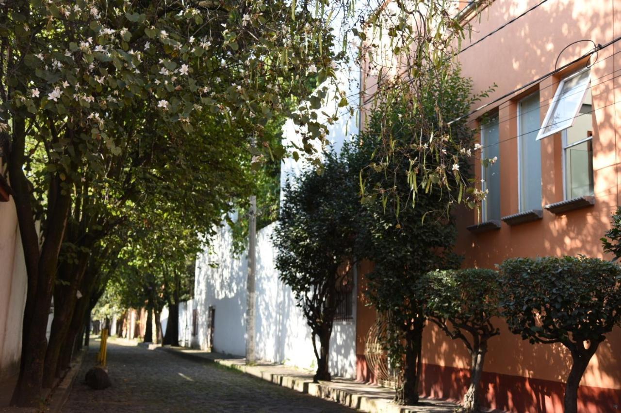 Casa Lulu Coyoacan Alvaro Obregon Zewnętrze zdjęcie