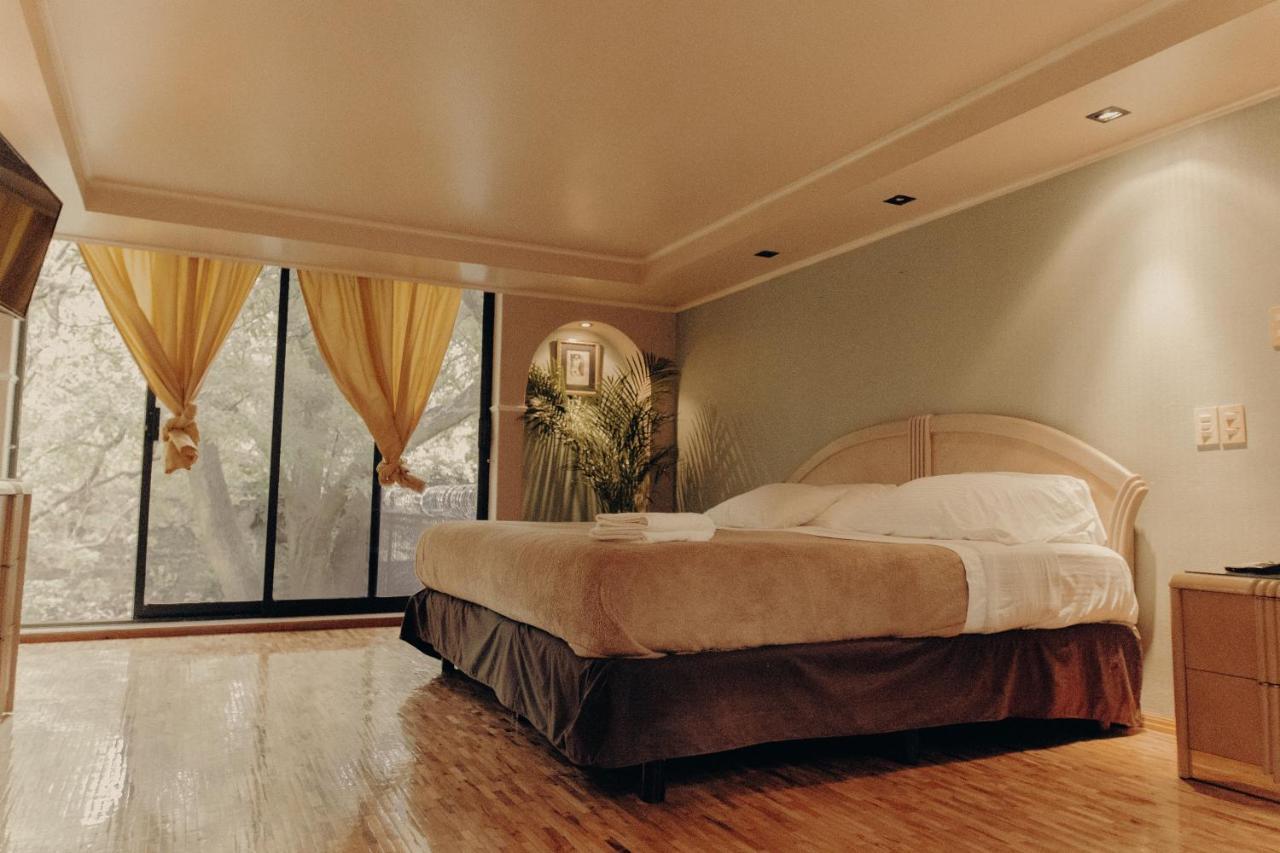 Casa Lulu Coyoacan Alvaro Obregon Zewnętrze zdjęcie