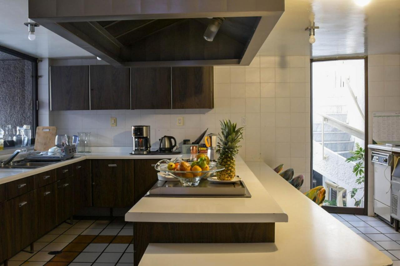 Casa Lulu Coyoacan Alvaro Obregon Zewnętrze zdjęcie