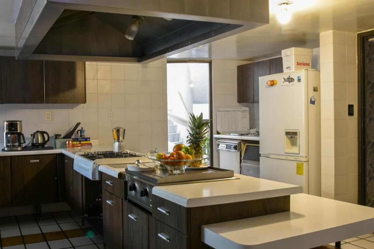 Casa Lulu Coyoacan Alvaro Obregon Zewnętrze zdjęcie