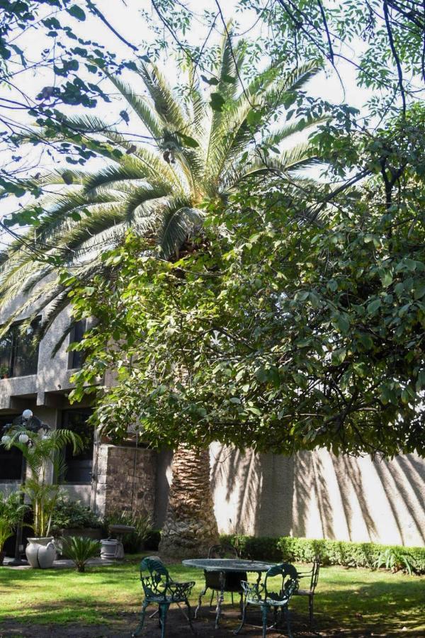 Casa Lulu Coyoacan Alvaro Obregon Zewnętrze zdjęcie