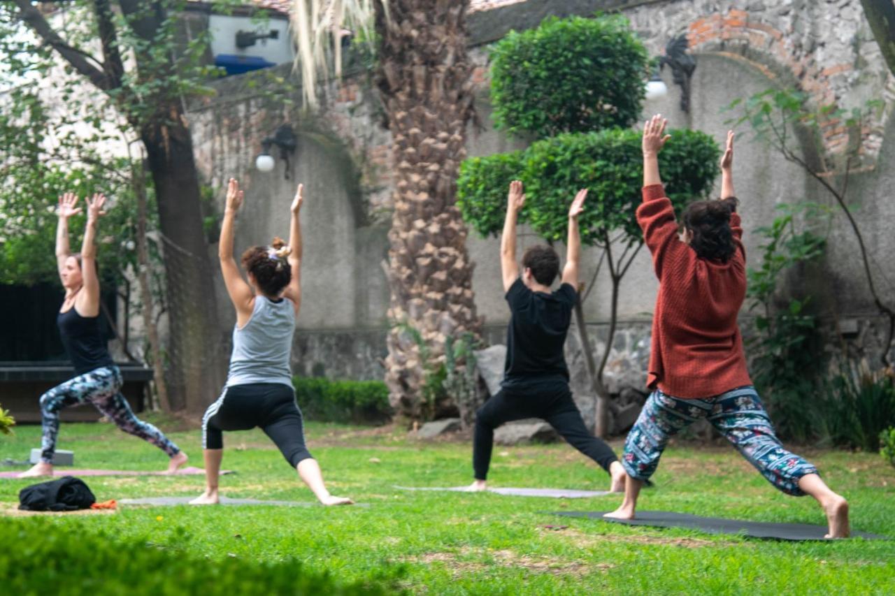 Casa Lulu Coyoacan Alvaro Obregon Zewnętrze zdjęcie