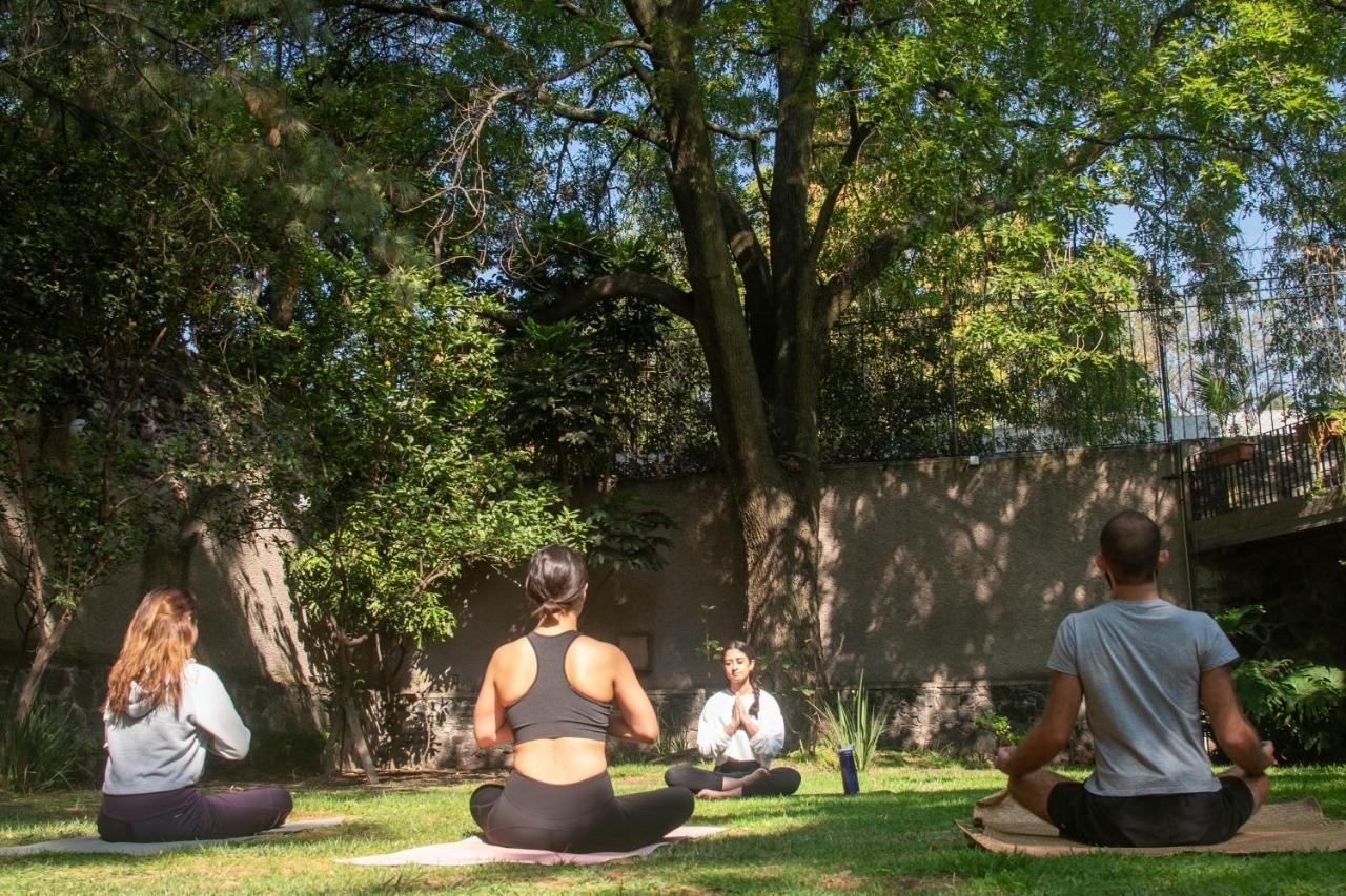 Casa Lulu Coyoacan Alvaro Obregon Zewnętrze zdjęcie